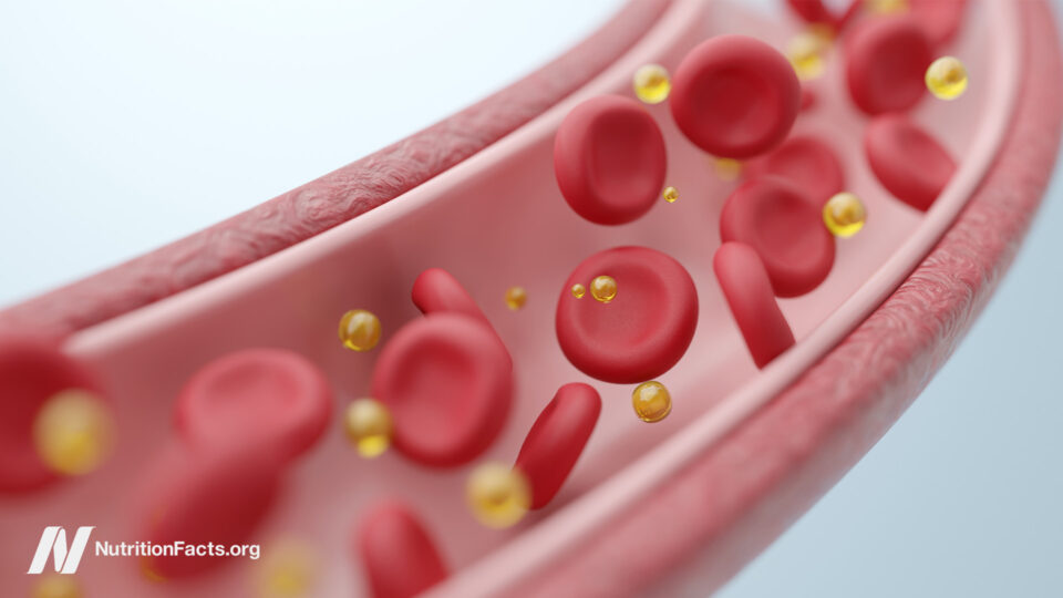 How a Single Meal Can Cripple Your Arteries and Lungs