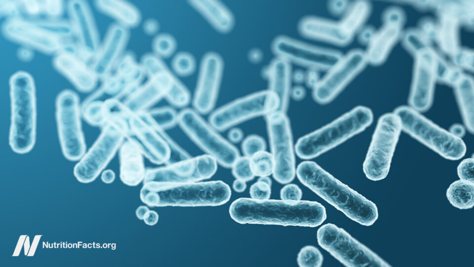 Feeding Our Gut Microbiome for Better Health